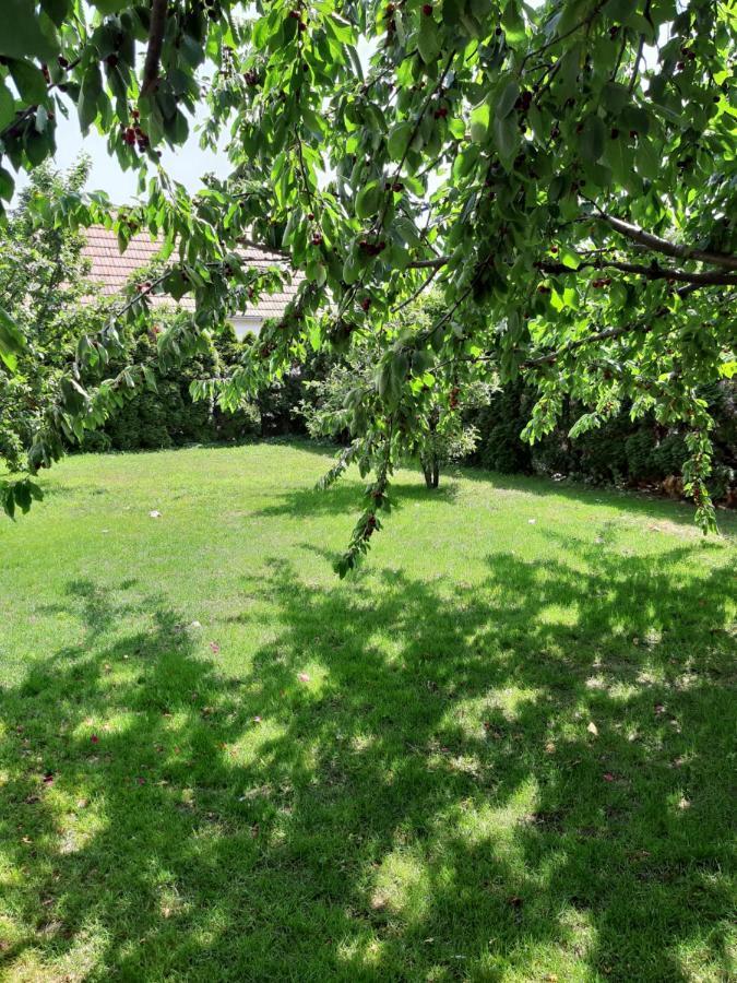 Eisenstadt Apartments Dış mekan fotoğraf